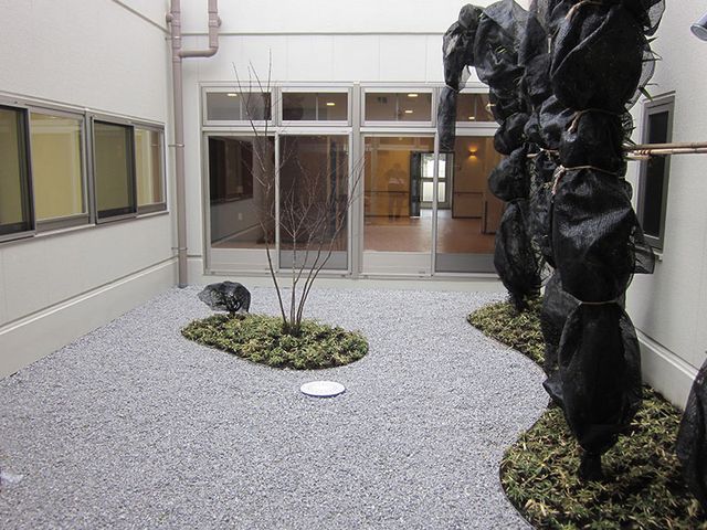 居心地の良い中庭 中庭 ゆったりとした自然光が差し込む中庭です。植物に囲まれて、のんびりと過ごす場所となっています。