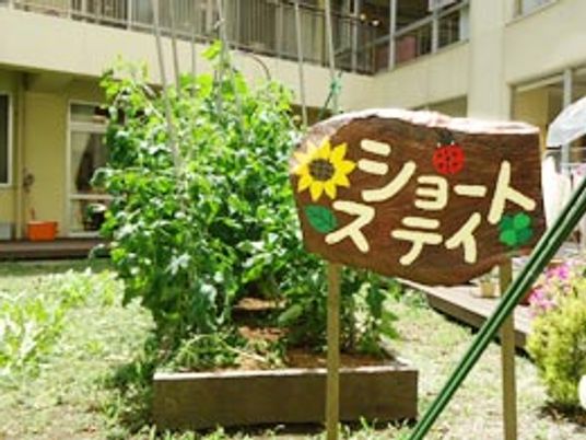 緑が豊かな庭
