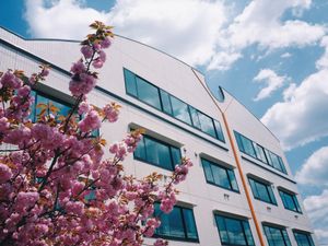 桜と建物の外観  