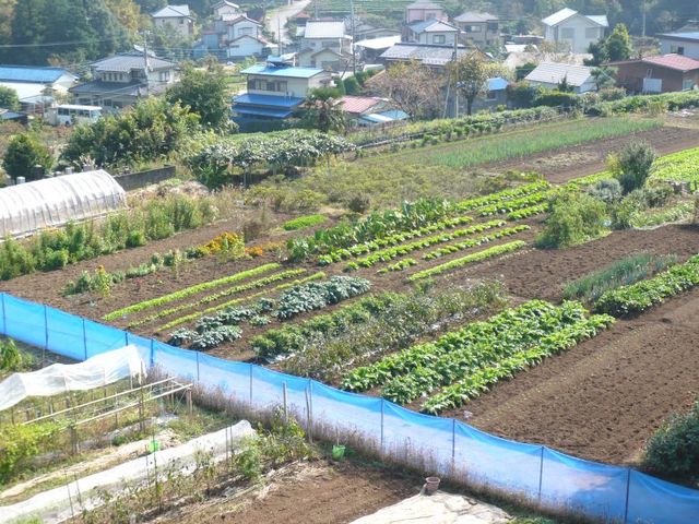 広々とした庭と農園