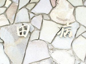 田病の壁面  