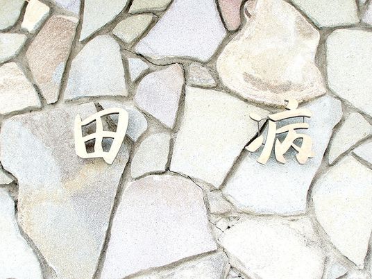 田病の壁面  