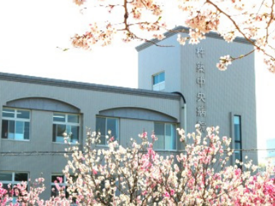 桜越しの建物外観  