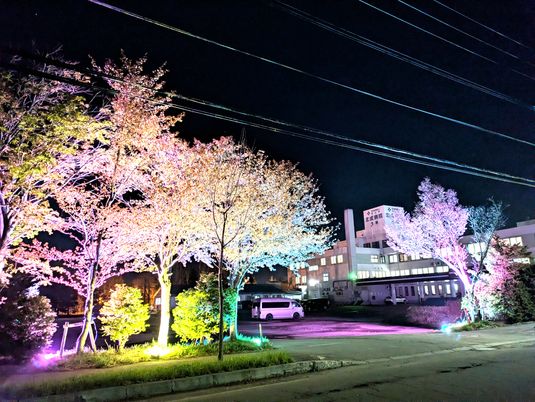 夜の外観  