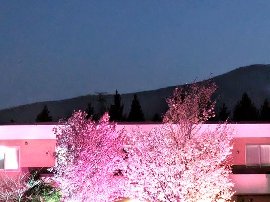 夜の外観  