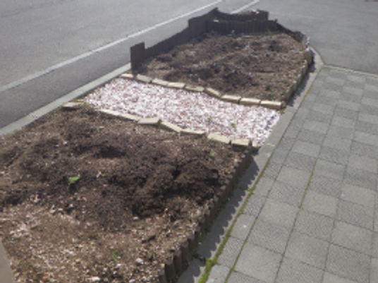 中庭の花壇  