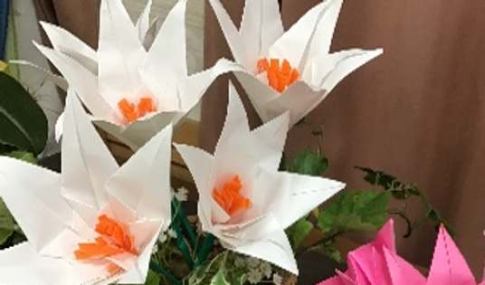 窓辺の観葉植物