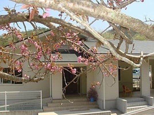 桜咲く平屋の外観  