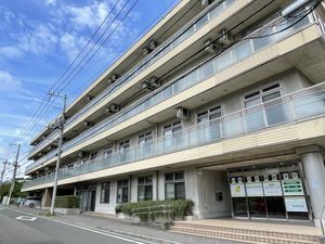 開放的な外観