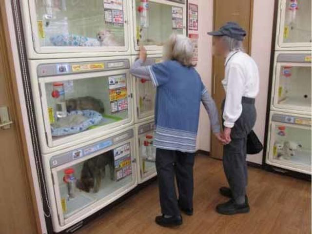 高齢者とペットの対面 外出 ケージを仕切られたスペースで、高齢者が動物とのふれあいを楽しんでいます。温もりを感じる時間を、こちらでお過ごしいただけます。