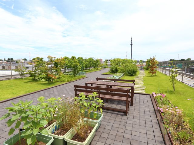 緑豊かな屋上庭園