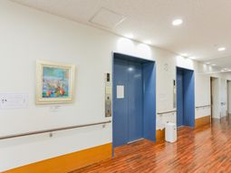 清潔な廊下とエレベーター