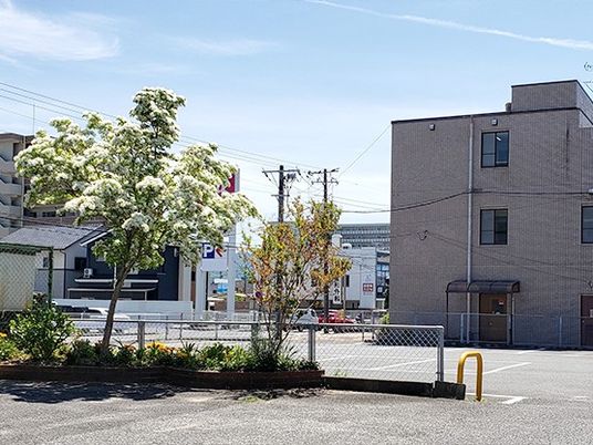 建物と駐車場の外観  
