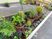 鉢植えが並ぶ中庭  