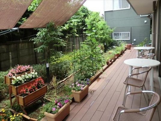 緑豊かな屋外テラス