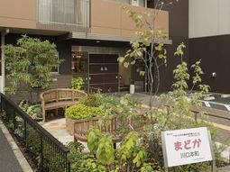 緑豊かな中庭風景
