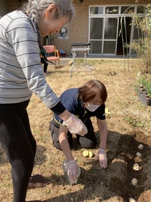 庭で植物の世話をする人達