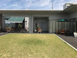 芝生広がる中庭  