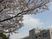 桜と建物の外観  