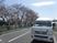 桜が咲く送迎車通り