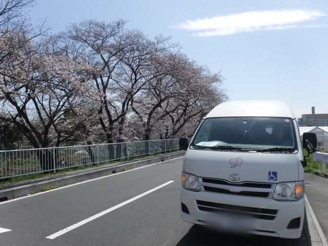 桜が咲く送迎車通り 外観 桜並木を眺めながら送迎車で移動できます。快適な送迎サービスで通勤も安心です。