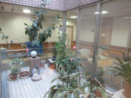 植物が並ぶ中庭