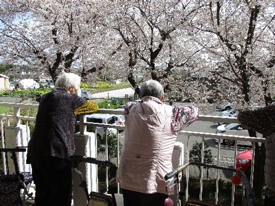 桜を眺めるテラス
