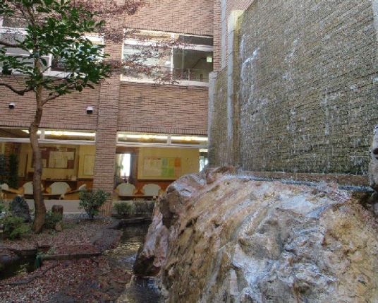 自然あふれる中庭