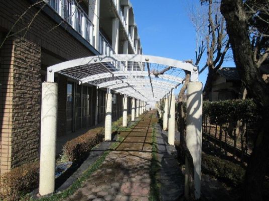 日差しのある中庭