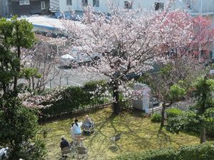 くつろげる庭園