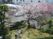 くつろげる庭園
