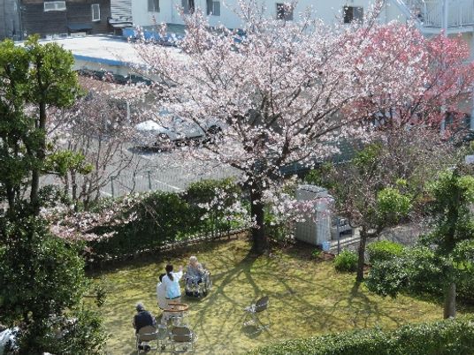 くつろげる庭園