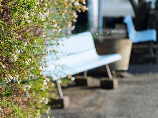 花咲くベンチのある庭  