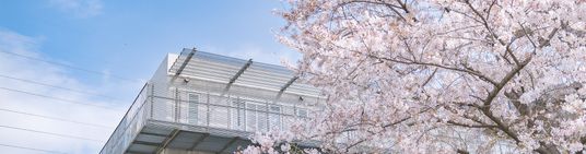 桜と建物の外観
