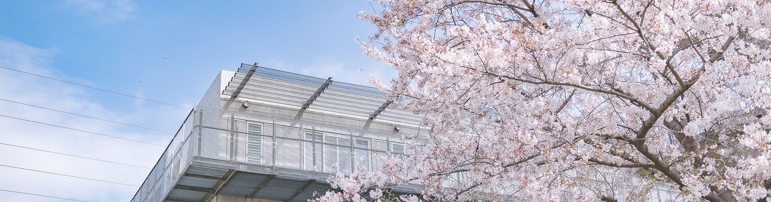 桜と建物の外観