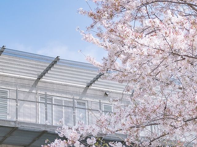 桜と建物の外観 外観 満開の桜が見える建物です。季節の移り変わりを感じられ、心地よい環境で働けます。