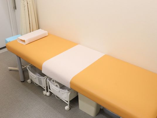 機能訓練用ベッド  