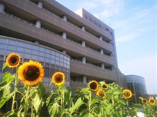 ひまわり咲く施設外観  
