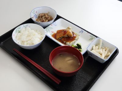 栄養バランスの取れた食事提供