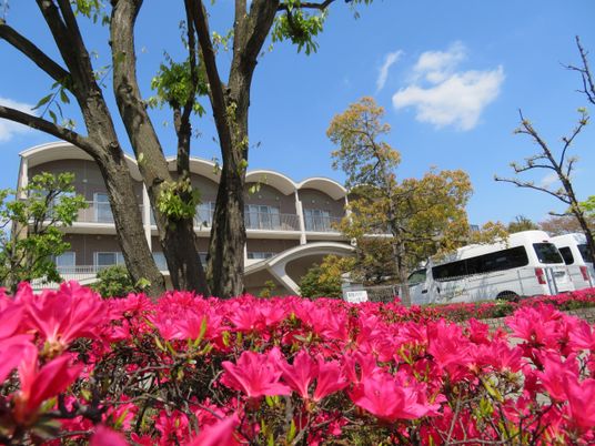 花壇と建物の外観  