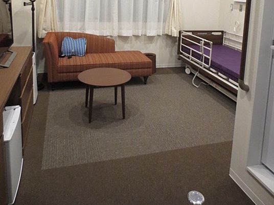 居室のソファとベッド  