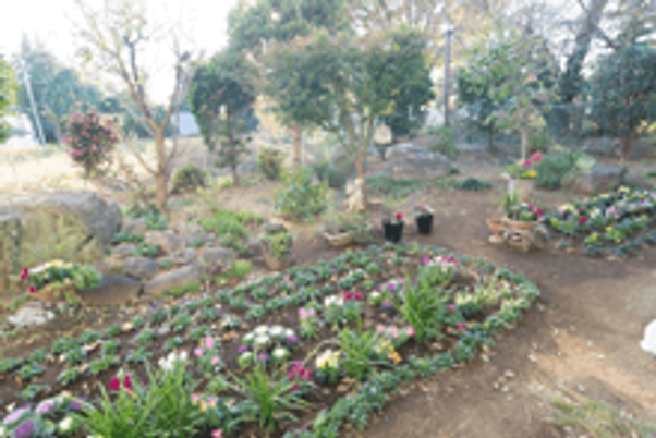四季折々の花が楽しめる庭