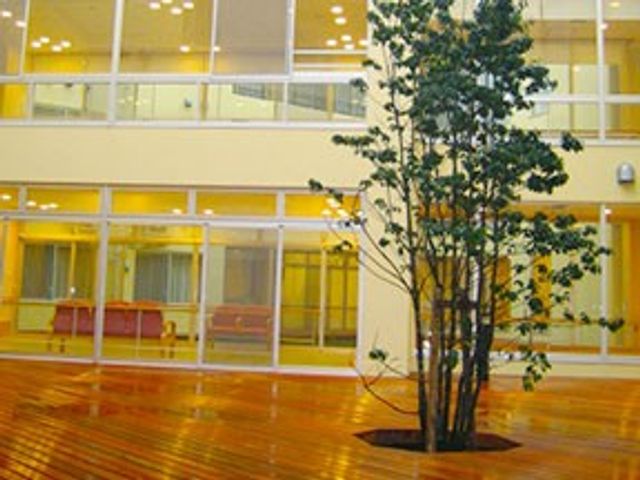 落ち着いた中庭 中庭 木々に囲まれた静かな中庭です。庭先に面したガラス窓からは、明るい光が注ぎ込みます。