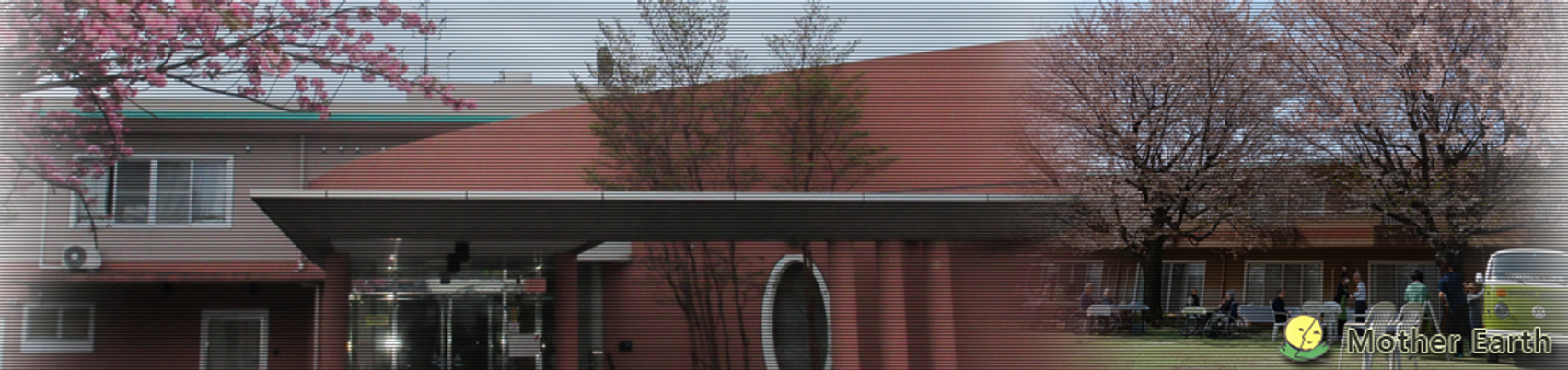 暖かい雰囲気の外観