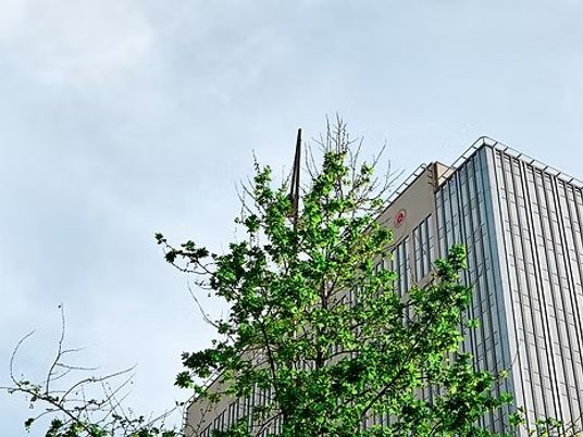 建物外観と木々の外観  