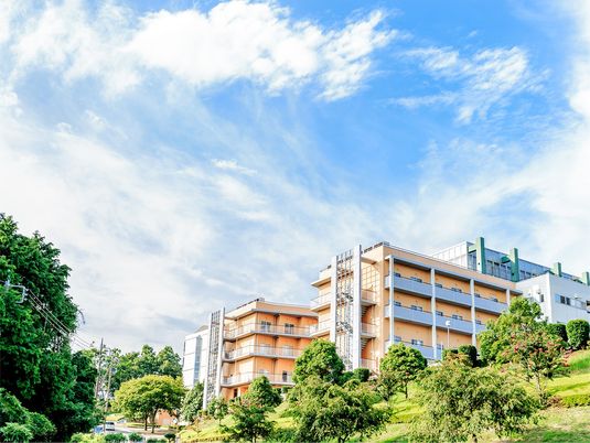 緑に囲まれた建物外観  