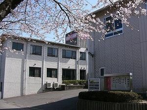 桜と建物の外観  