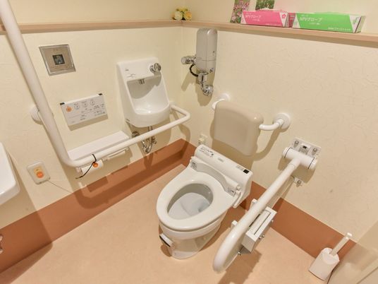 手すり付トイレの内観