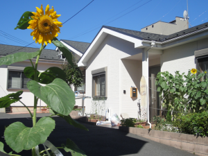 外観とひまわりの庭  