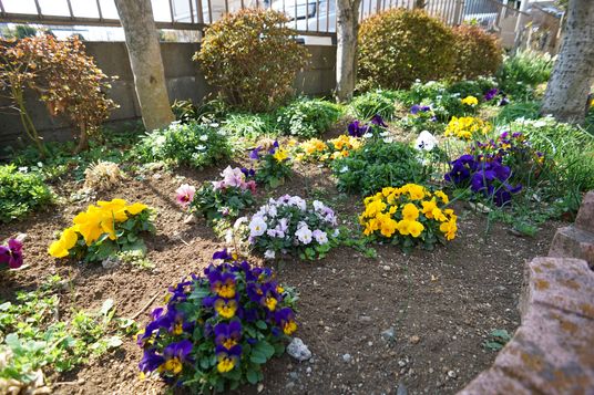 色とりどりの花が咲く中庭